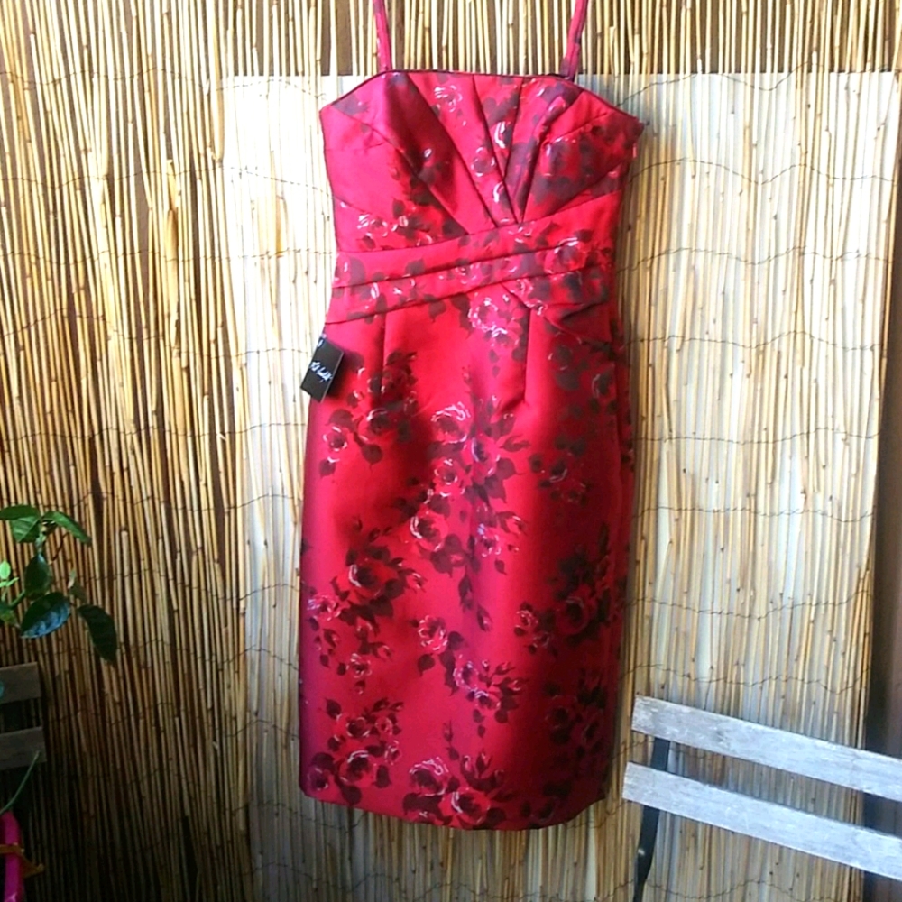 Beautiful Brick Red Special Occasion Dress